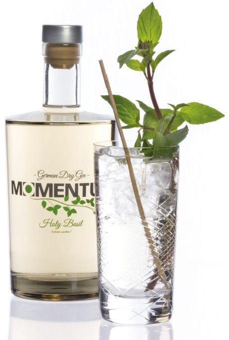 momentum_gin